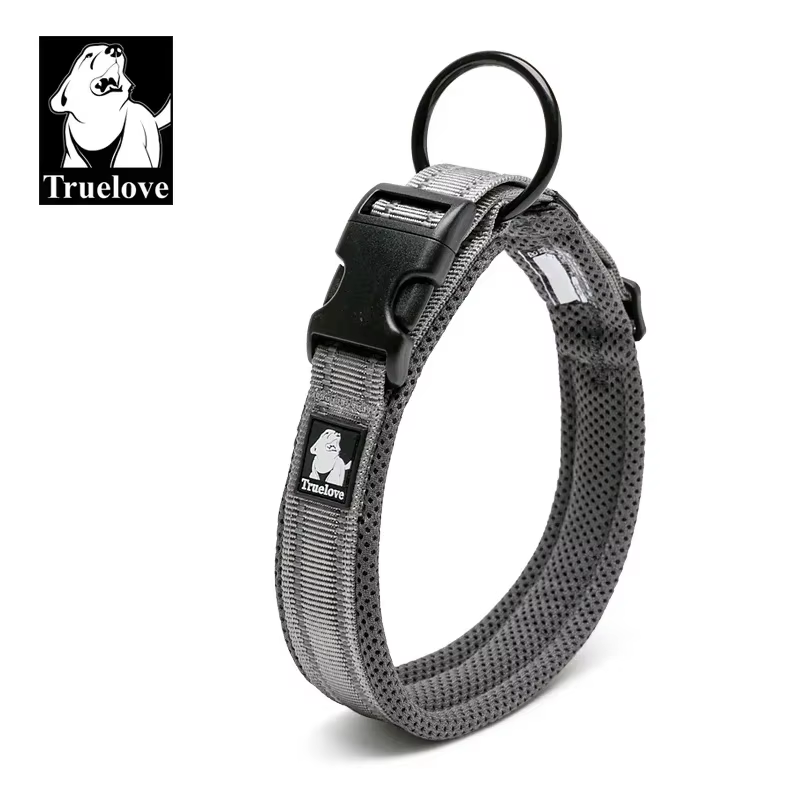 collier réglable pour chien