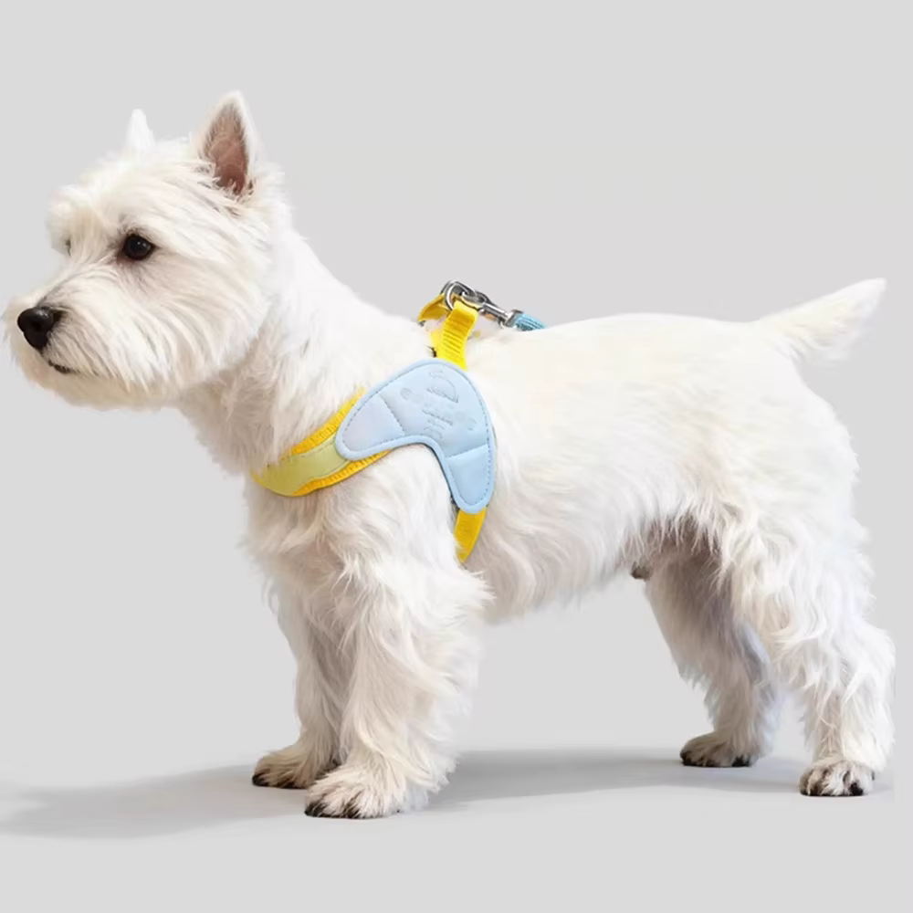 Harnais pour chien réglable et confortable