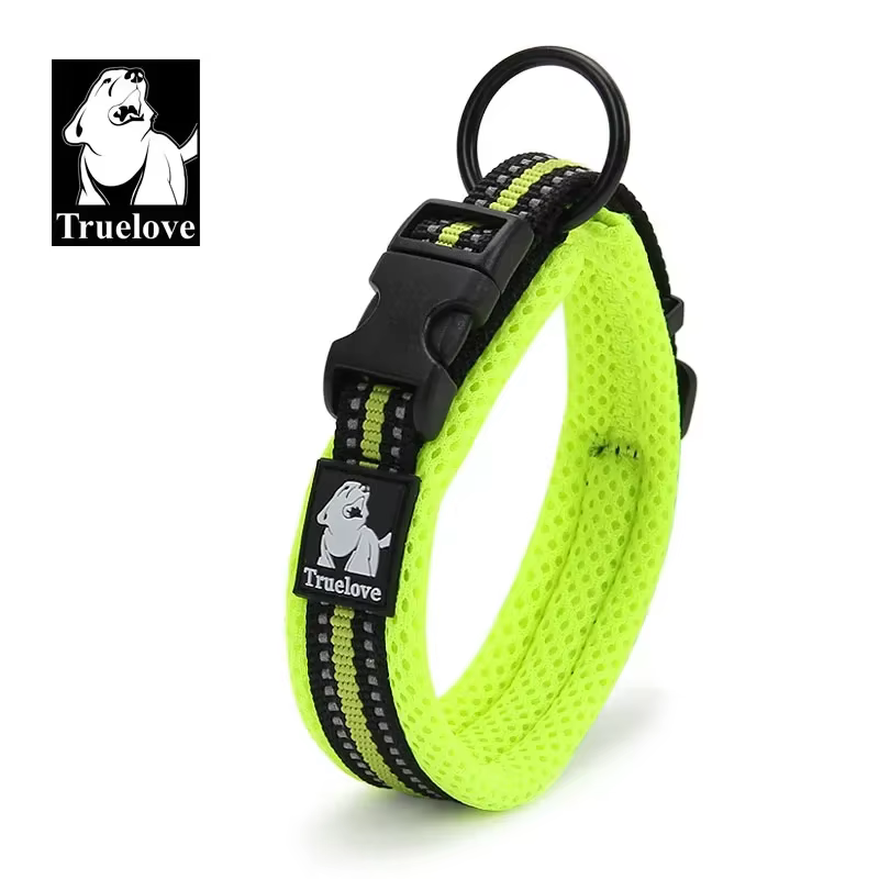 collier réglable pour chien