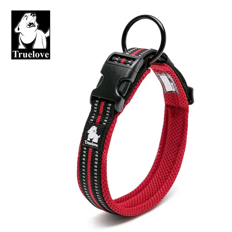 collier réglable pour chien