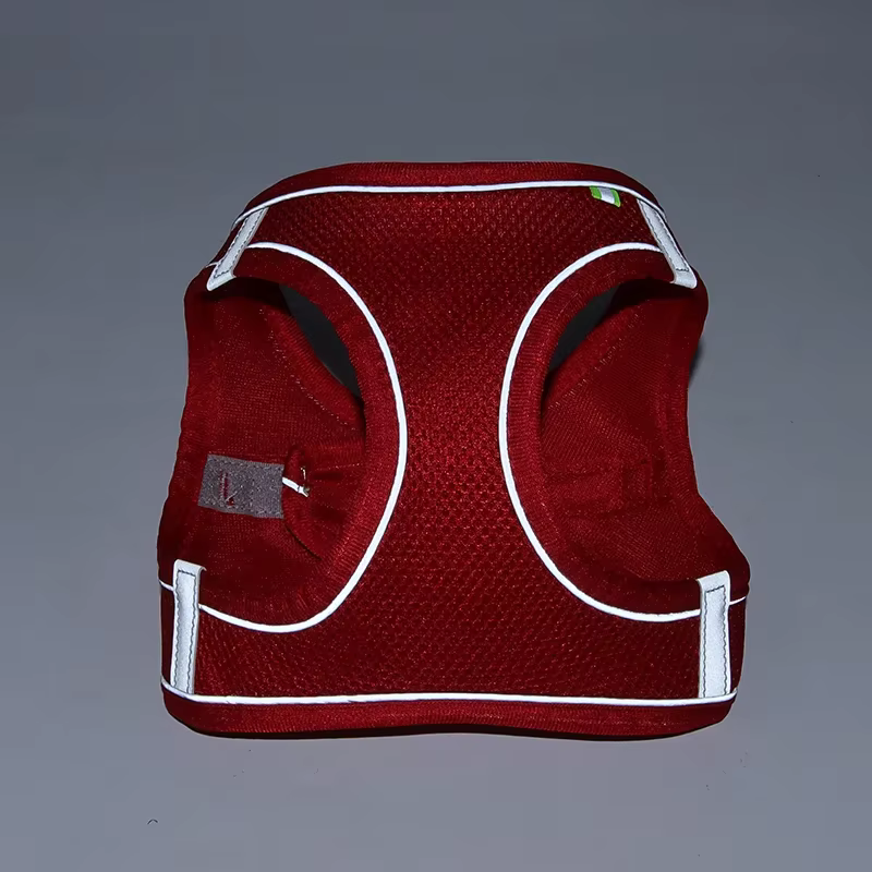 Harnais pour Chien Réglable avec Laisse – Gilet Confortable et Respirant