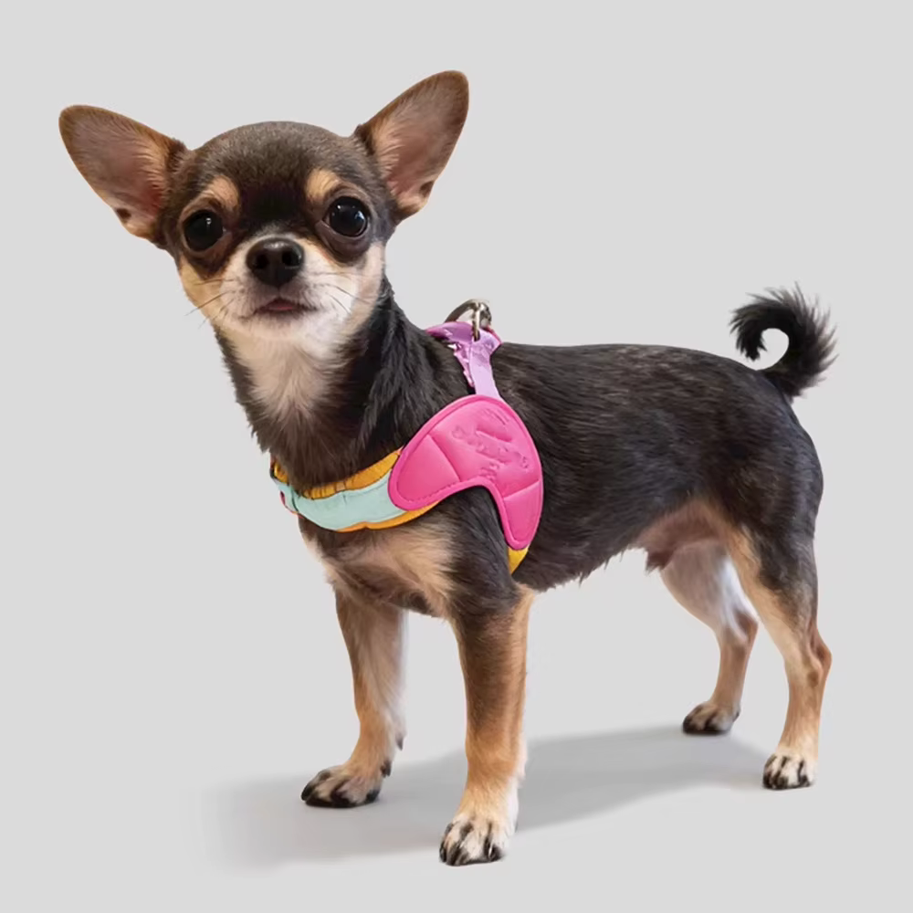 Harnais pour chien réglable et confortable