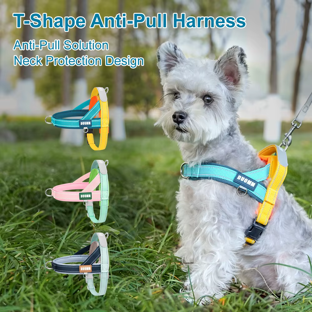Harnais pour Chien Réglable – Petit et Moyen Chien