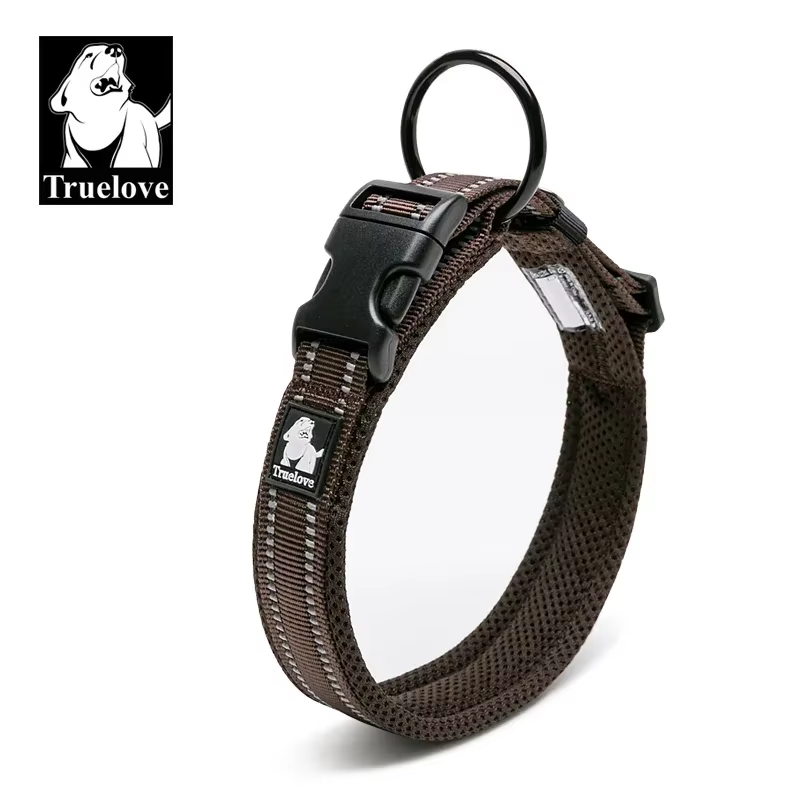 collier réglable pour chien