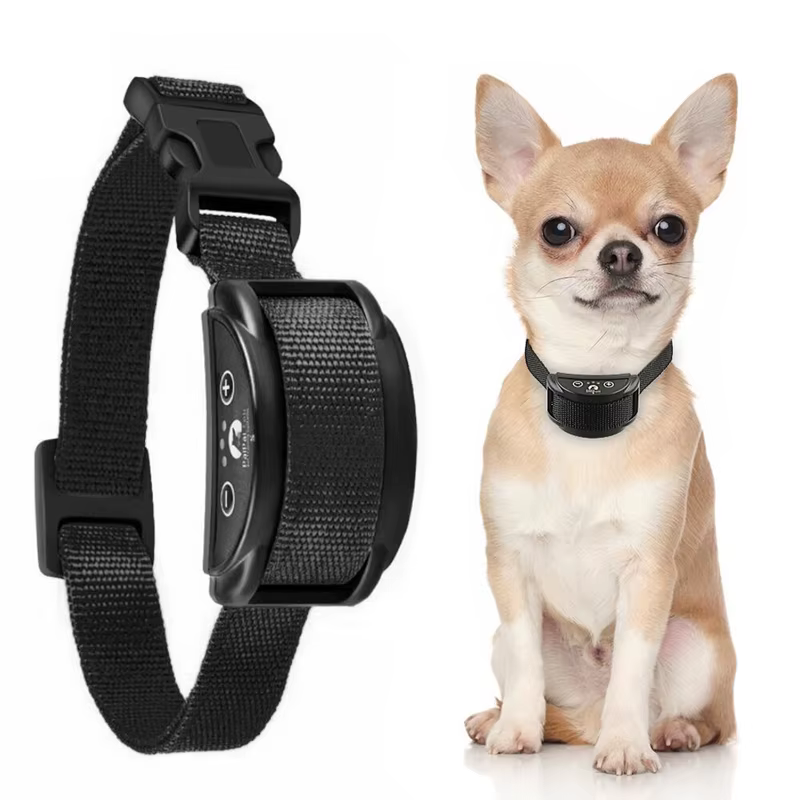 Collier anti aboiement