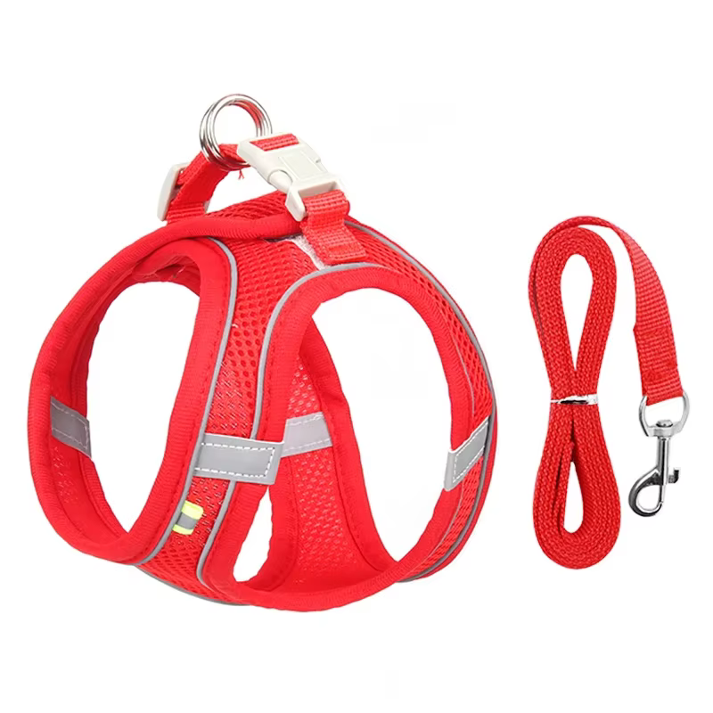 Harnais pour Chien Réglable avec Laisse – Gilet Confortable et Respirant