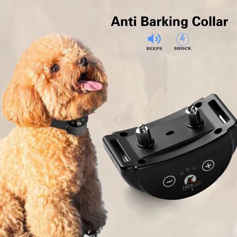 Collier anti aboiement