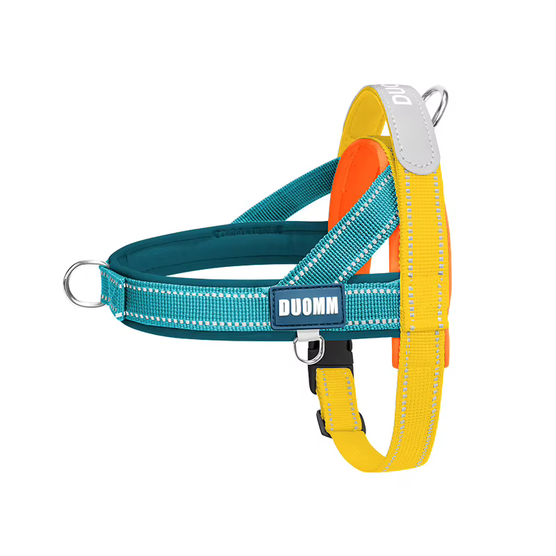 Harnais pour Chien Réglable – Petit et Moyen Chien