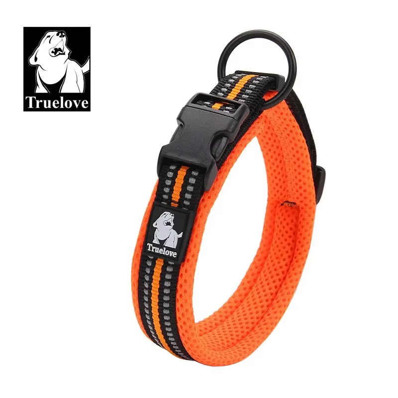 collier réglable pour chien