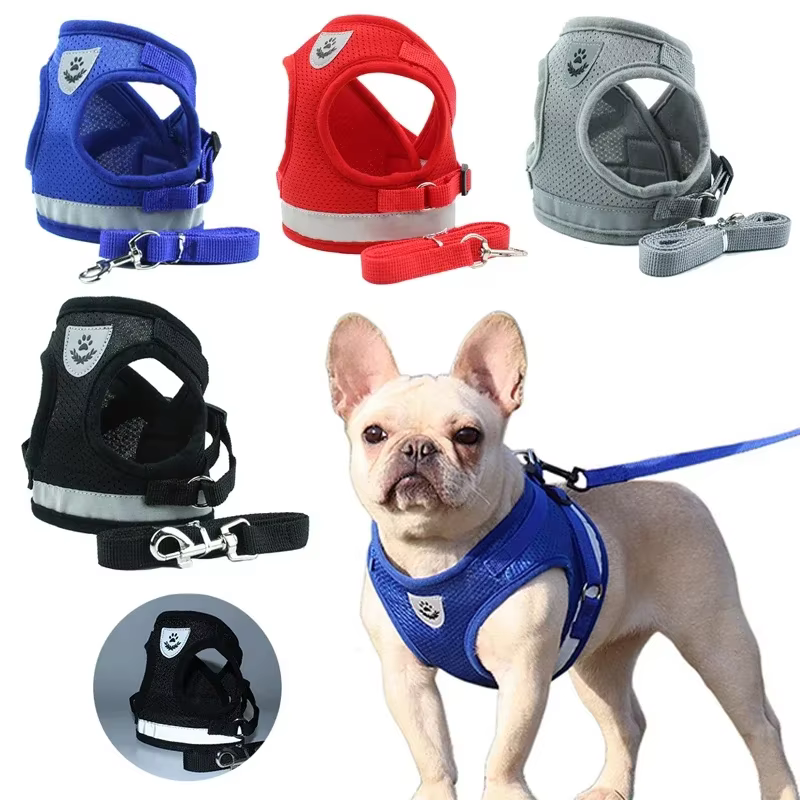 Harnais Respirant et Réfléchissant pour Chien avec Laisse | Confort & Sécurité