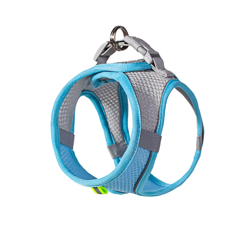 Harnais pour Chien Réglable avec Laisse – Gilet Confortable et Respirant