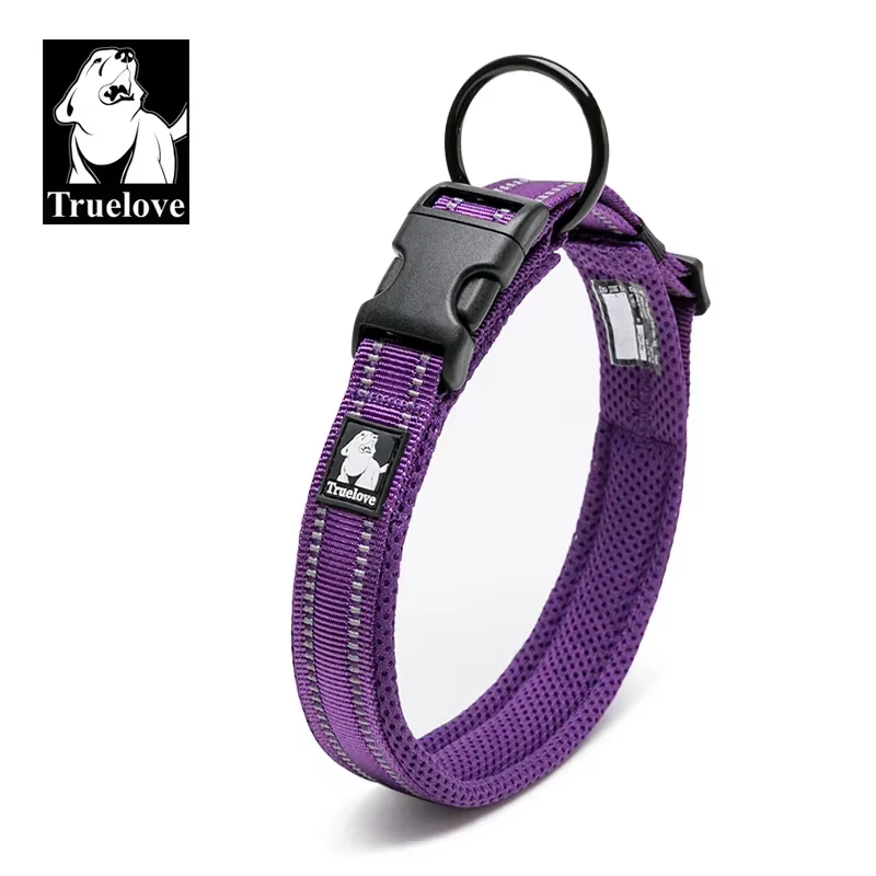 collier réglable pour chien