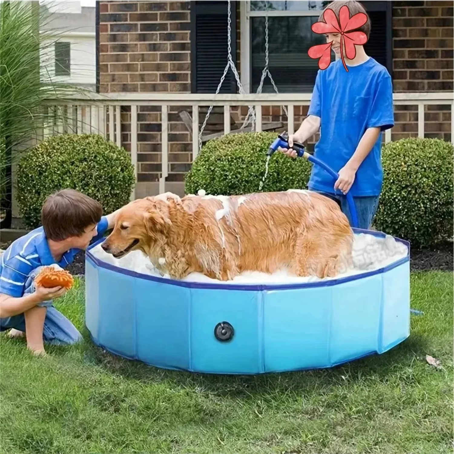 PISCINE PLIABLE POUR CHIEN