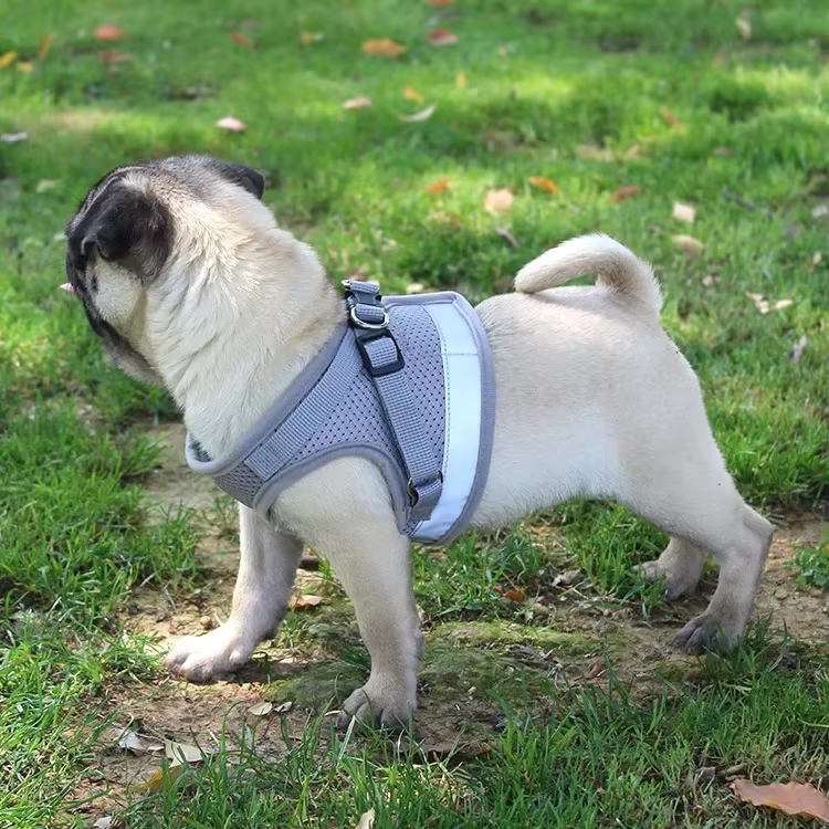 Harnais Respirant et Réfléchissant pour Chien avec Laisse | Confort & Sécurité