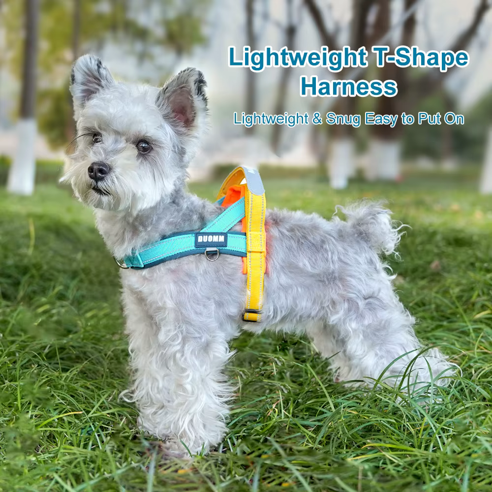 Harnais pour Chien Réglable – Petit et Moyen Chien