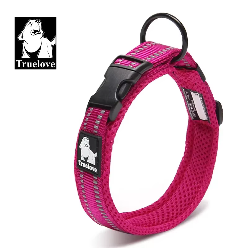 collier réglable pour chien
