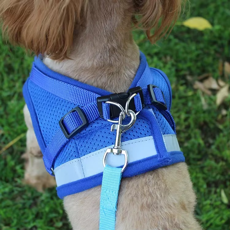 Harnais Respirant et Réfléchissant pour Chien avec Laisse | Confort & Sécurité