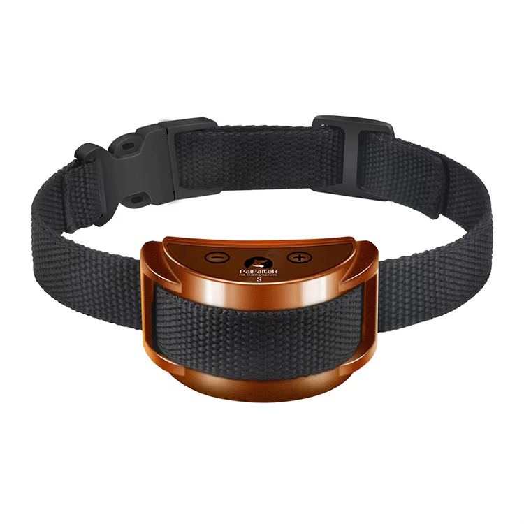 Collier anti aboiement
