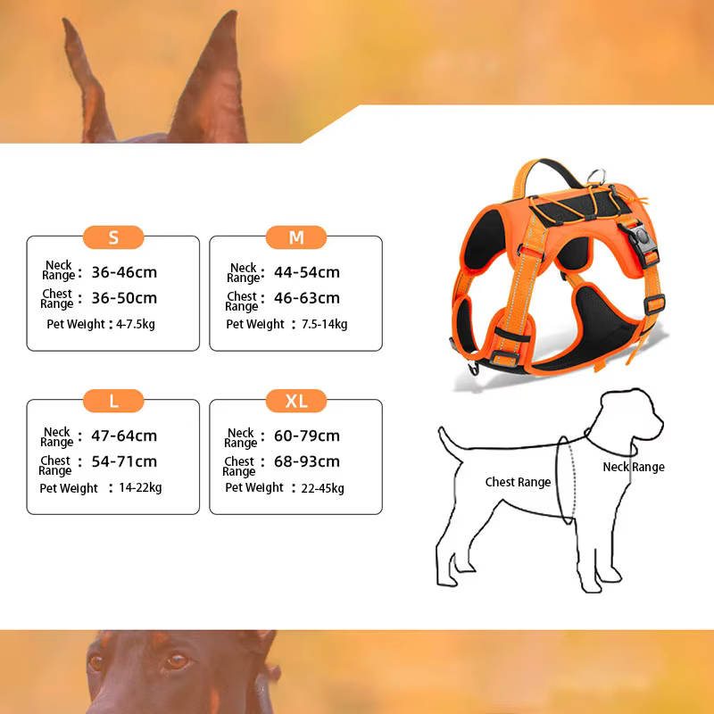 Harnais Chien Souple et Ajustable avec Laisse – Confort et Sécurité