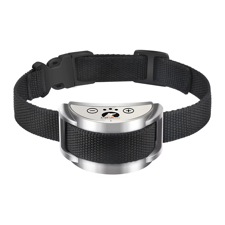 Collier anti aboiement