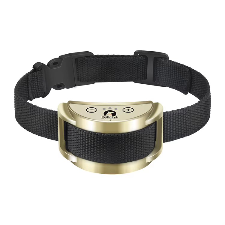 Collier anti aboiement