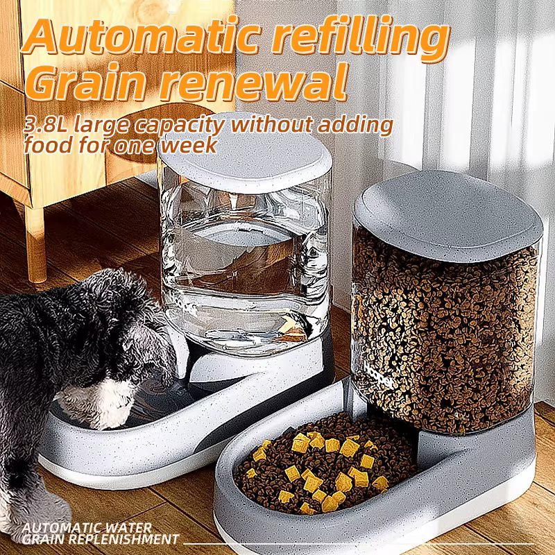 Distributeur Automatique Croquettes et Eau | Chien & Chat   