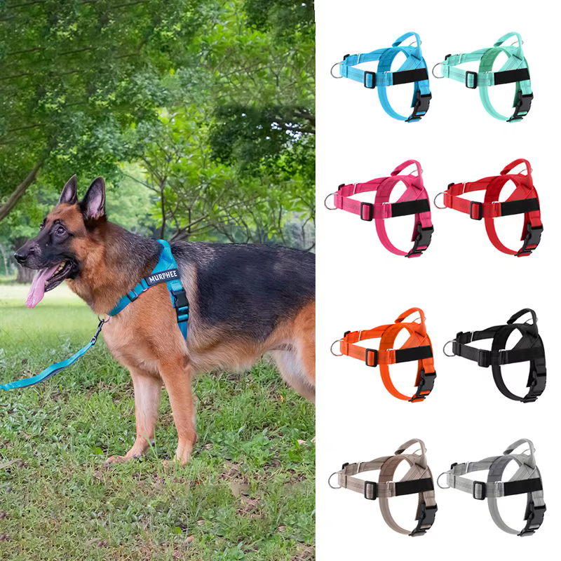 Harnais pour chien