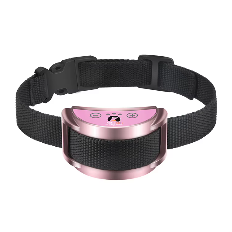 Collier anti aboiement
