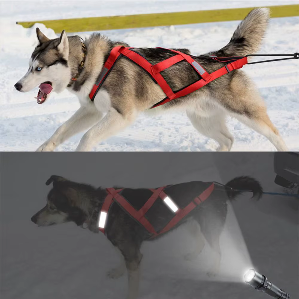 Harnais de Traction Sportif pour Chien - Réfléchissant & Ajustable