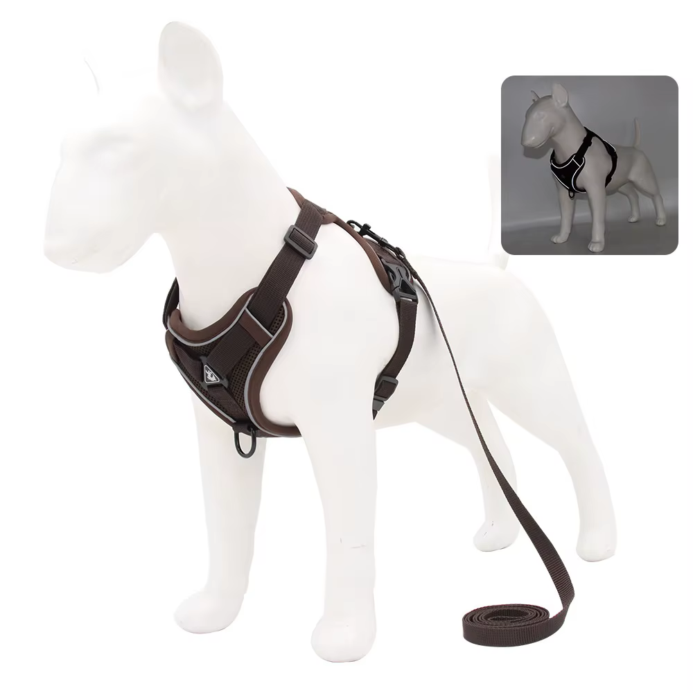 Harnais pour Chien avec Laisse Assortie | Confort & Sécurité