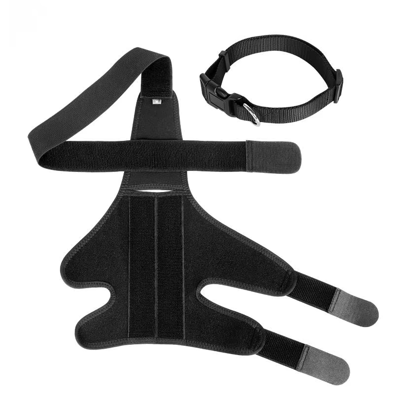 Attelle Orthopédique pour Chien | Support Articulaire & Genouillère