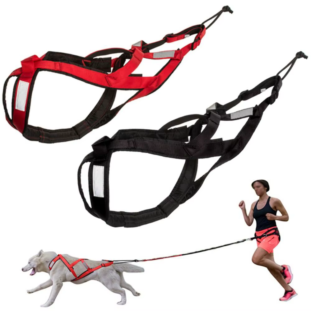 Harnais de Traction Sportif pour Chien - Réfléchissant & Ajustable