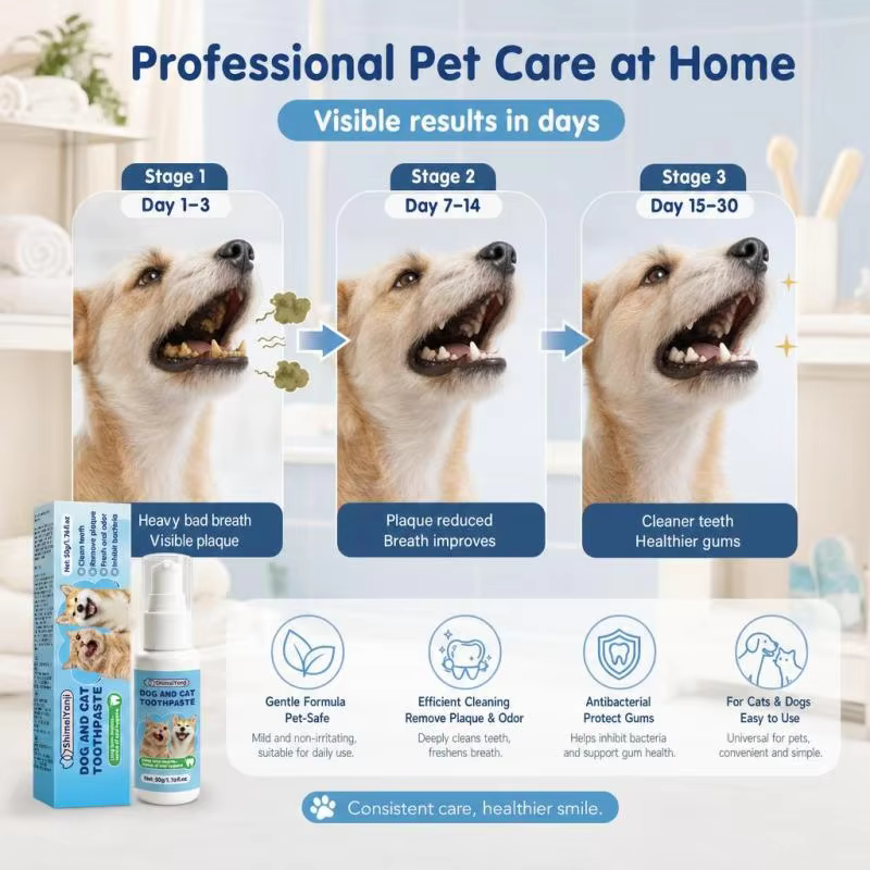 DENTITRICE FACILE  UTILISATION  POUR CHIEN