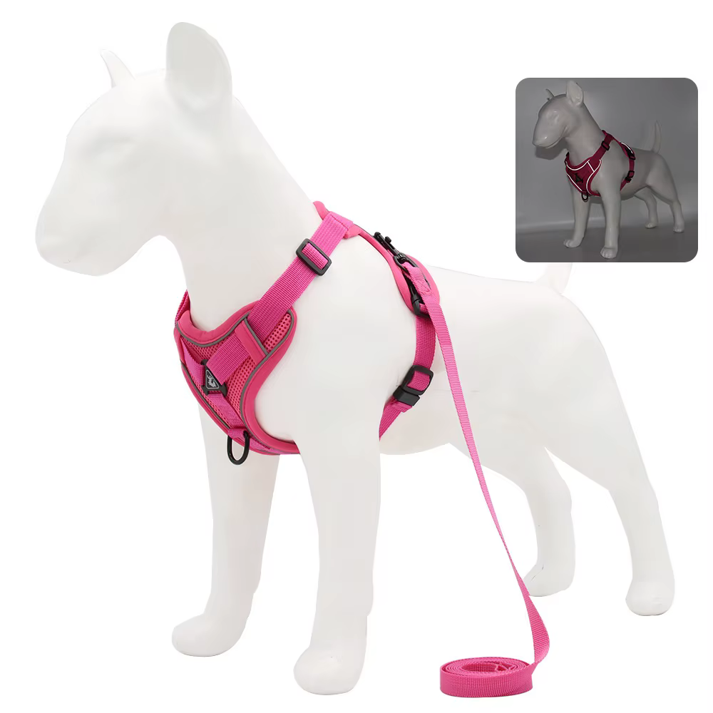 Harnais pour Chien avec Laisse Assortie | Confort & Sécurité