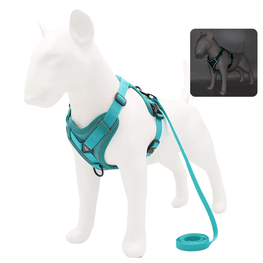 Harnais pour Chien avec Laisse Assortie | Confort & Sécurité