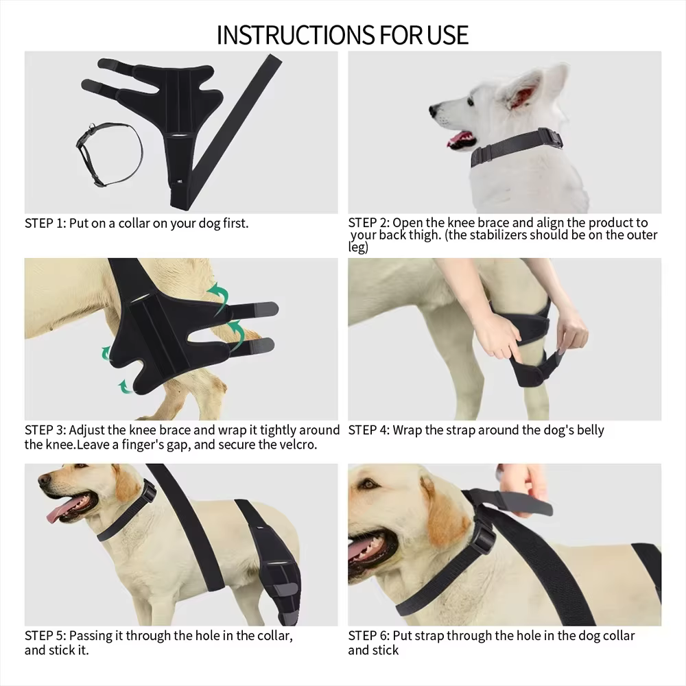 Attelle Orthopédique pour Chien | Support Articulaire & Genouillère