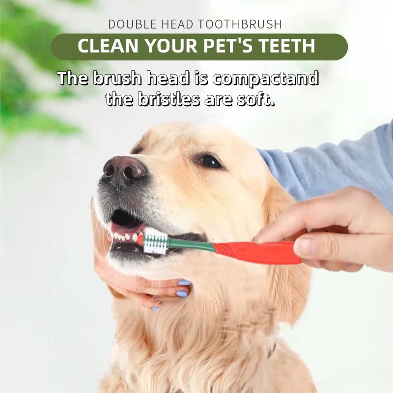 DENTITRICE KIT POUR CHIEN
