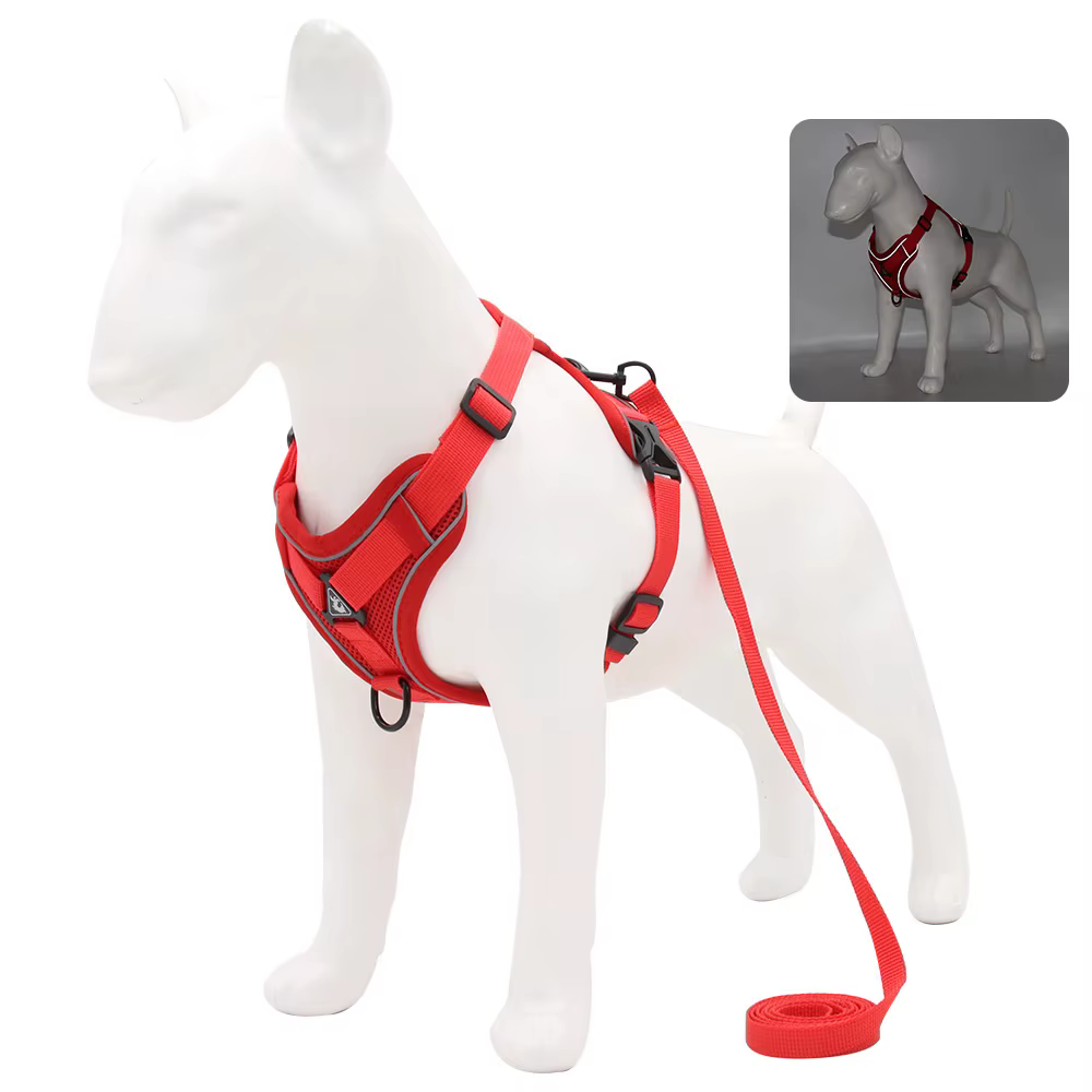 Harnais pour Chien avec Laisse Assortie | Confort & Sécurité