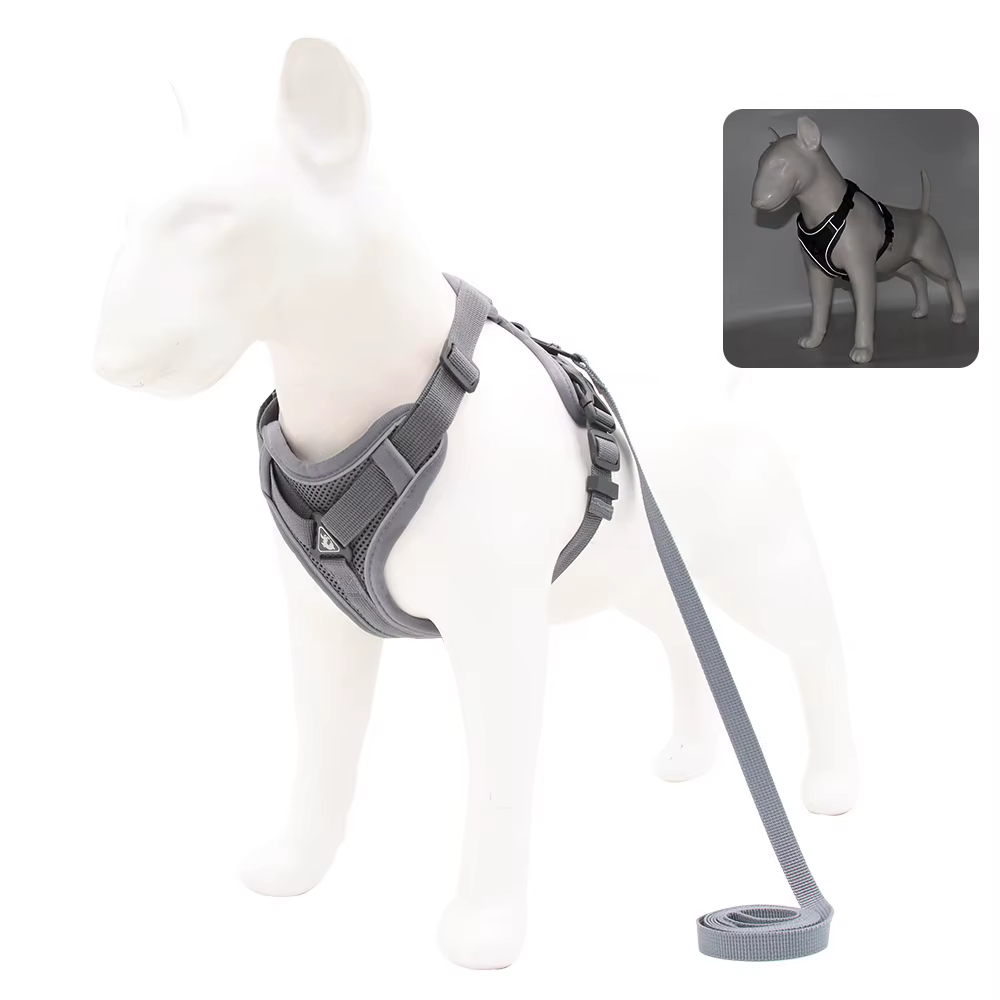 Harnais pour Chien avec Laisse Assortie | Confort & Sécurité