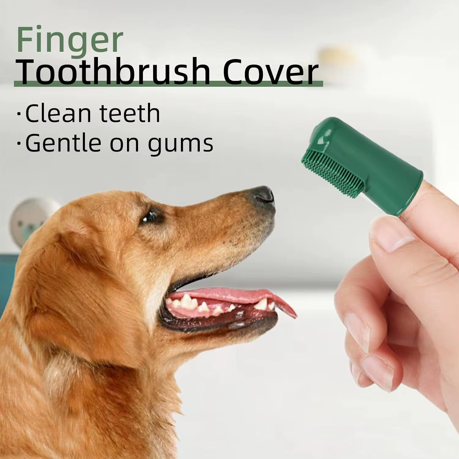 DENTITRICE KIT POUR CHIEN