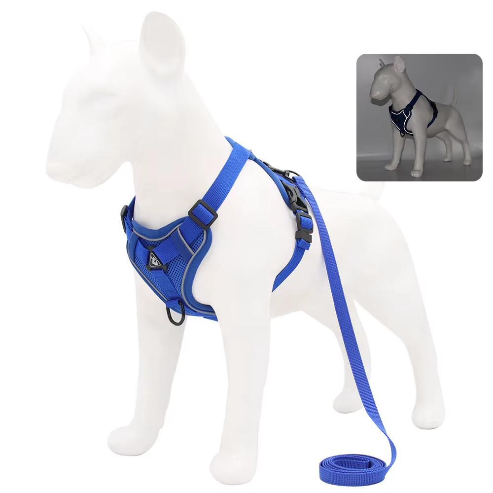 Harnais pour Chien avec Laisse Assortie | Confort & Sécurité