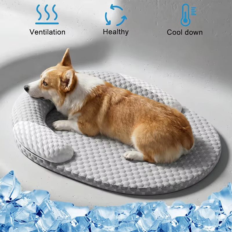 Coussin pour chien