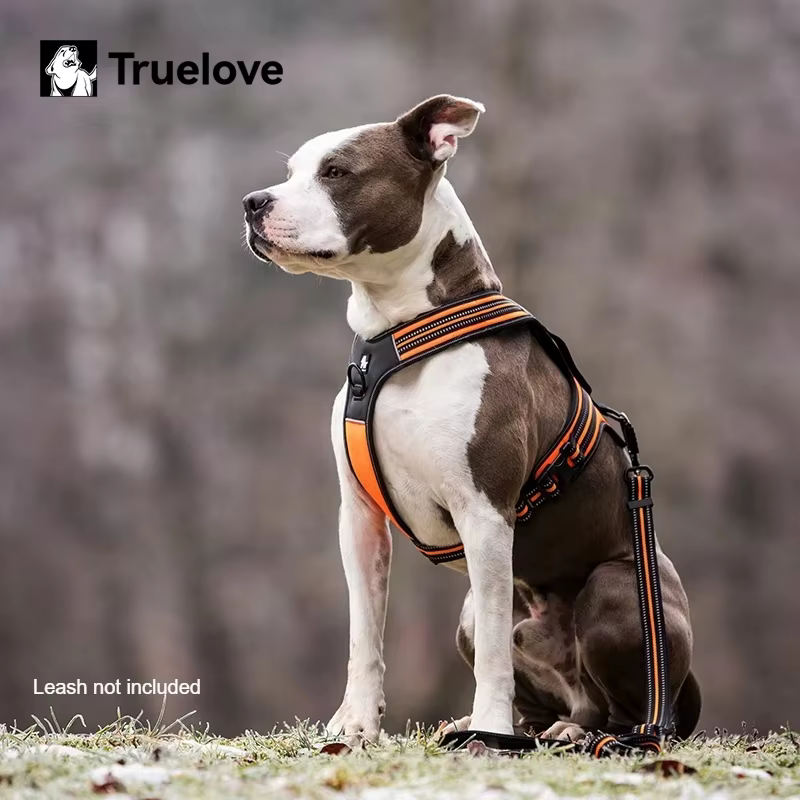 Harnais Ergonomique et Anti-Traction pour Chien