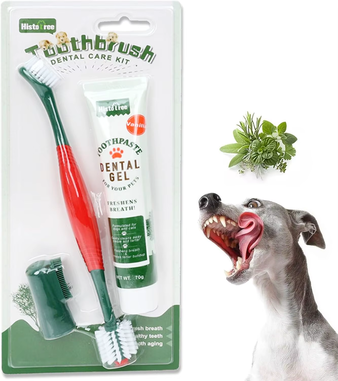 DENTITRICE KIT POUR CHIEN