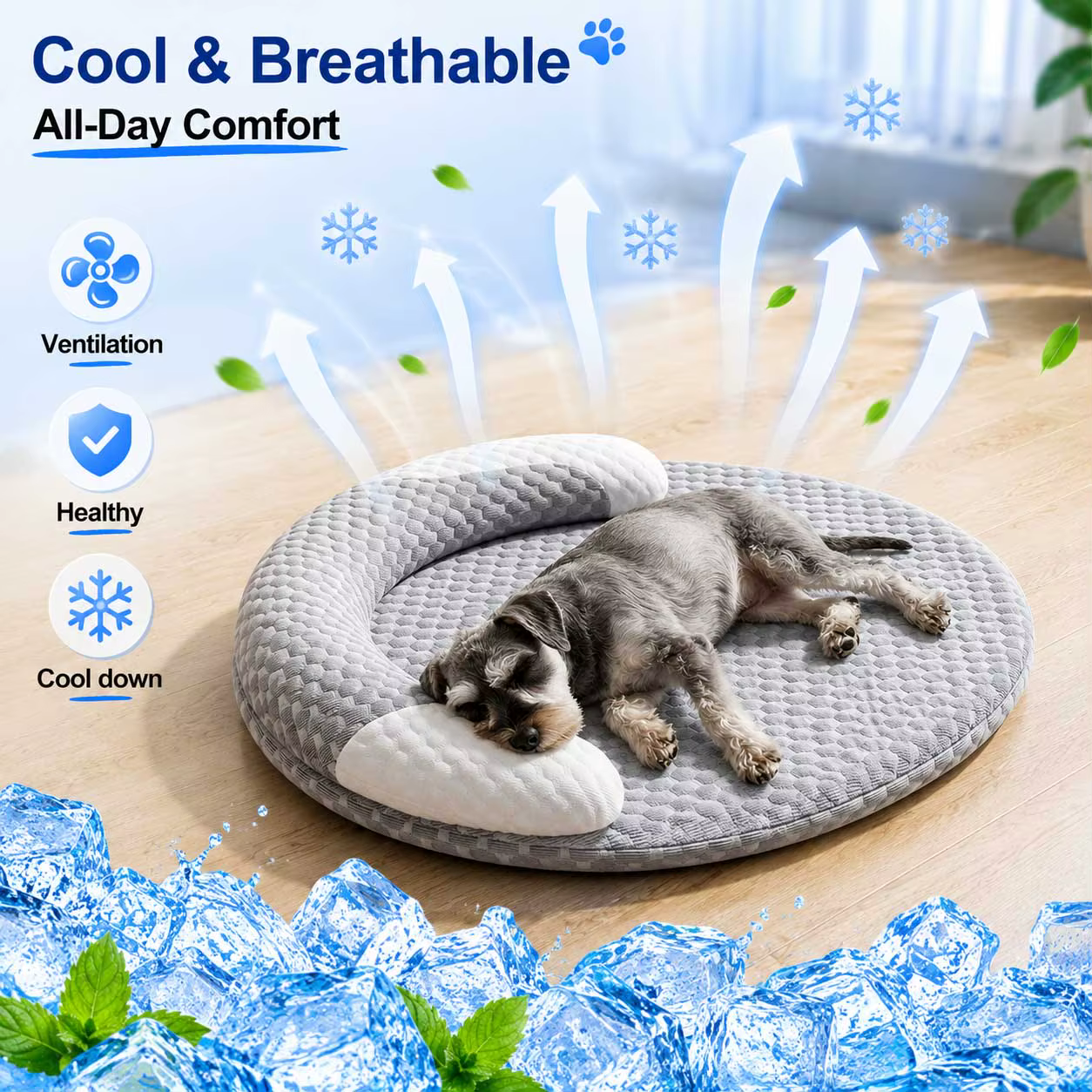 Coussin pour chien