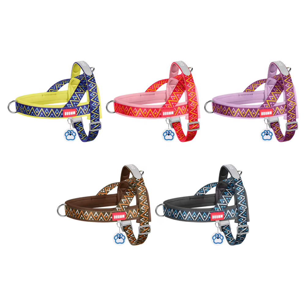 Harnais motif style pour chien