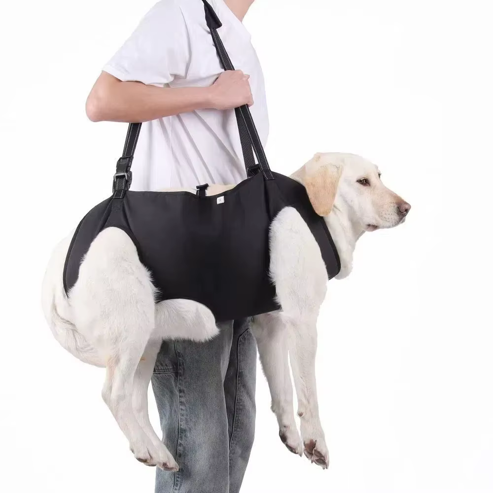 Harnais de Transport pour Chien Confortable et Réglable