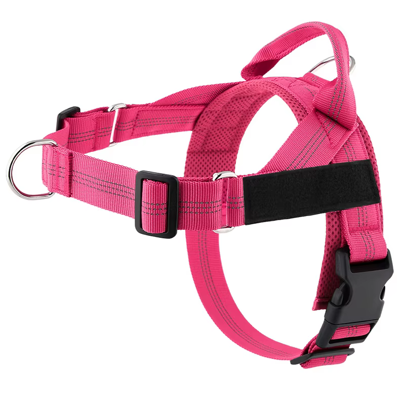 Harnais pour chien