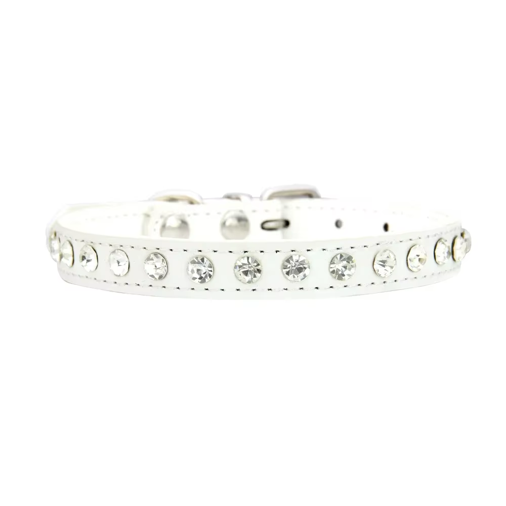 COLLIER POUR CHIEN