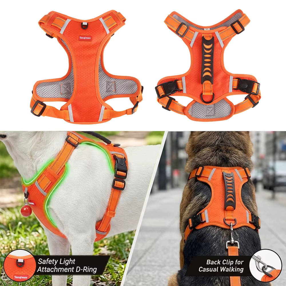 Harnais pour Chien Réglable à 4 Points – Confort & Sécurité